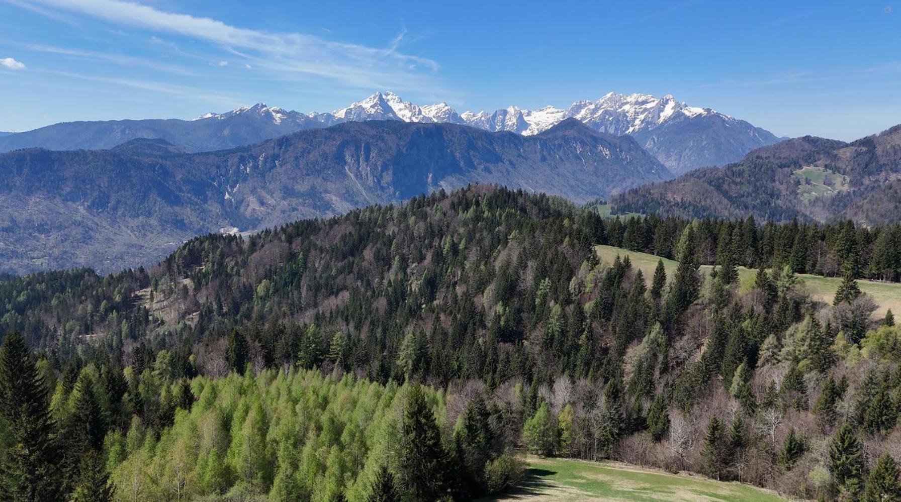 Span Cottage Jesenice Bagian luar foto